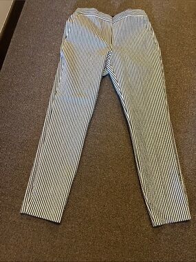 Zara Pinstripe Skinny Pants